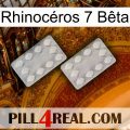 Rhinocéros 7 Bêta 17